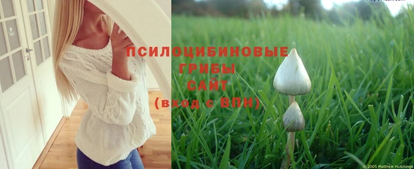 меф Алексин