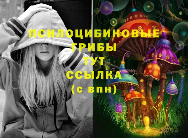 кокаин премиум Алексеевка