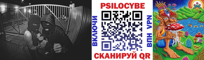 Галлюциногенные грибы Cubensis  mega сайт  Анжеро-Судженск 